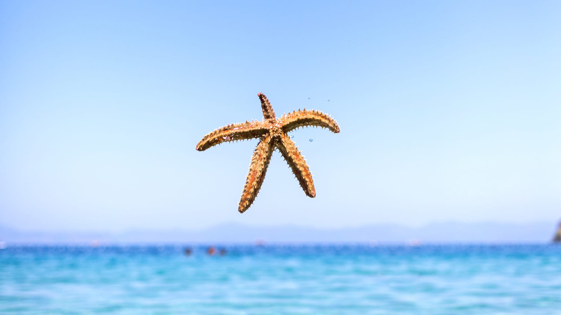 Plajlar 3
